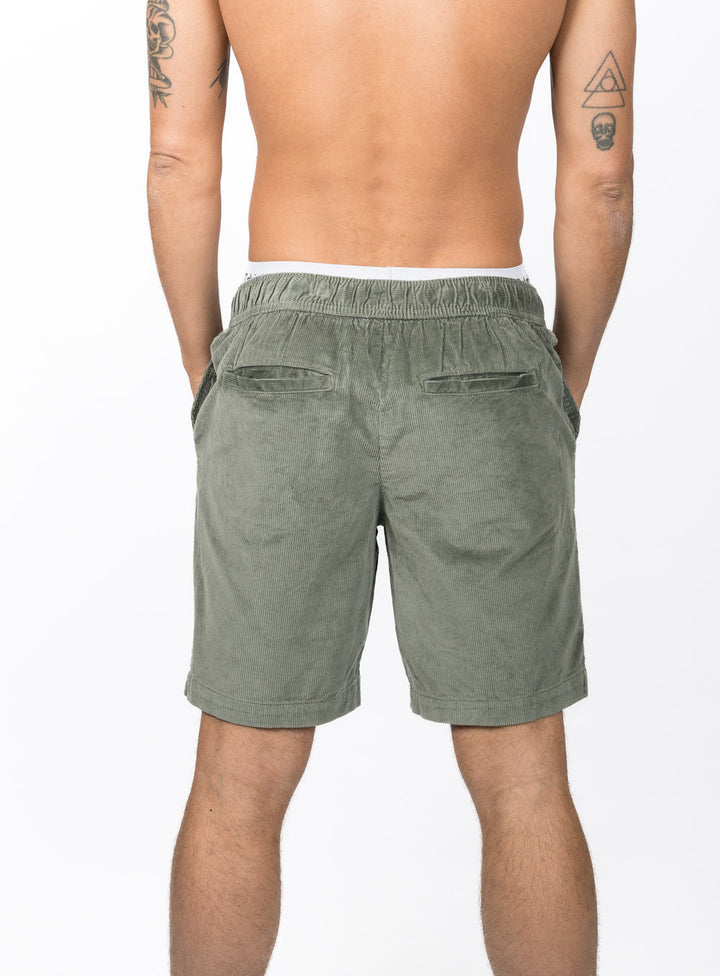 Analog Current WalkShorts - Khaki