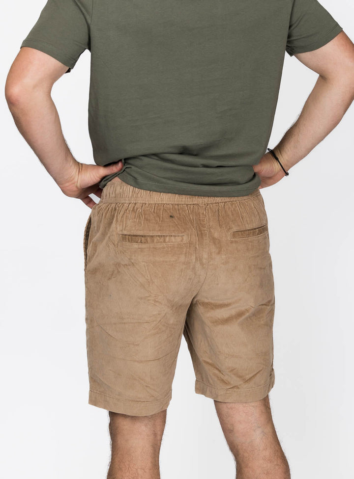 Analog Current WalkShorts - Dark Camel